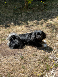 Photo de galerie - Garde de Bulle!