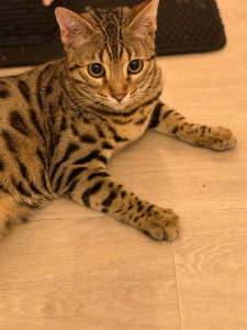 Photo de galerie - Mon Loulou 