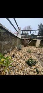 Photo de galerie - Aménagement de massif 