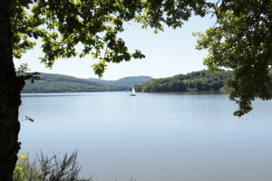 Photo de galerie - La tranquillité