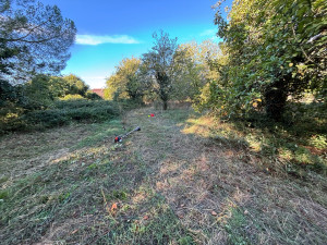 Photo de galerie - Terrain de ronces Avant 