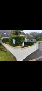 Photo de galerie - Peinture - Tapisserie