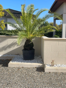 Photo de galerie - Paysagiste - Aménagement du jardin