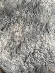 Photo de galerie - Service d’aide à la personne