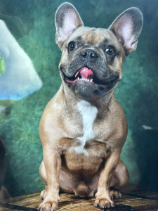 Photo de galerie - Mon fils 