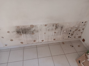 Photo de galerie - Peinture - Tapisserie