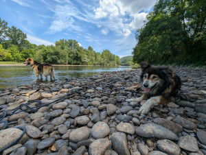 Photo de galerie - Baignades bien méritées 