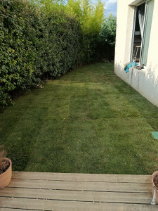 Photo de galerie - Paysagiste - Aménagement du jardin