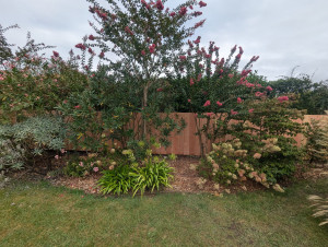 Photo de galerie - Paysagiste - Aménagement du jardin