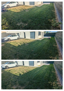 Photo de galerie - Tonte de pelouse - Débroussaillage