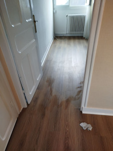 Photo de galerie - Pose d'un sol pvc a clipser avec passage de porte sans barre de seuil