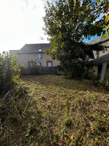 Photo de galerie - Débroussaillage 