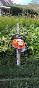 Photo de galerie - Taille de haies et d'arbustes