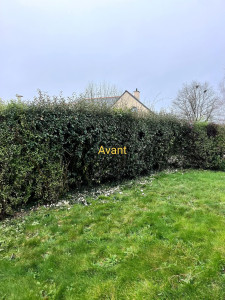 Photo de galerie - Taille haie variee