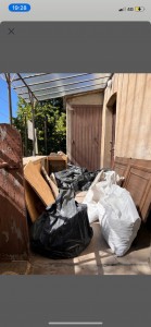 Photo de galerie - Caillou arbre ect …..