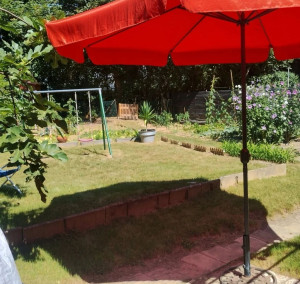 Photo de galerie - Jardin en friche remise en état du jardin