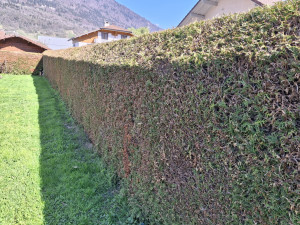 Photo de galerie - Paysagiste - Aménagement du jardin