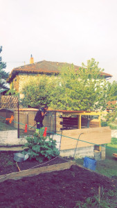 Photo de galerie - Création abris de jardin .