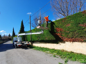 Photo de galerie - Chea un de nous client taille plusieurs plus abbatte arbre 