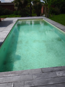 Photo de galerie - Entretien piscine