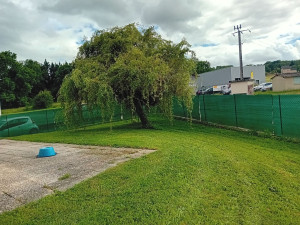 Photo de galerie - Tonte de pelouse - Débroussaillage