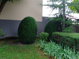 Photo de galerie - Taille 