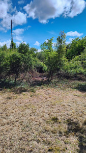 Photo de galerie - Débroussaillage d'un terrain en friche 