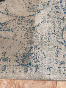 Photo de galerie - Nettoyage tapis côté propre / côté sale ?