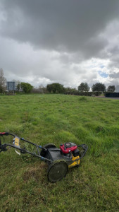 Photo de galerie - Débroussaillage d'un terrain 