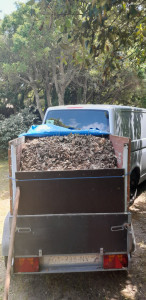 Photo de galerie - Entretien jardin