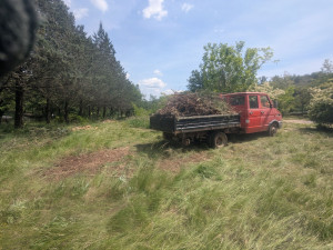 Photo de galerie - Manutention