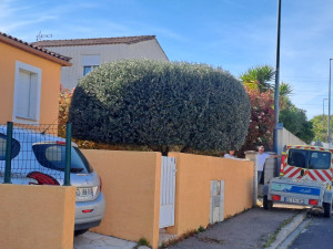 Photo de galerie - Après 