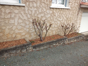 Photo de galerie - Paysagiste - Aménagement du jardin