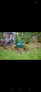 Photo de galerie - ? Nettoyage de jardins – Ramassage de feuilles ?

Bonjour à tous,

Je propose mes services pour le ramassage des feuilles mortes et le nettoyage des jardins : feuilles, petits déchets verts, remise au propre du terrain, etc.

Si vous avez besoin d’un co