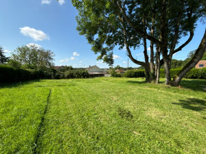 Photo de galerie - Tonte / Débroussaillage