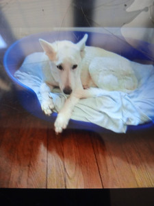 Photo de galerie - Elisa la plus fidèle