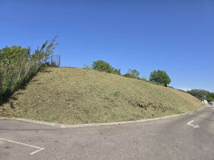 Photo de galerie - Débroussaillage talu fini.