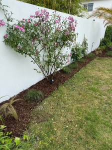 Photo de galerie - Paysagiste - Aménagement du jardin