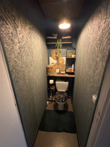 Photo de galerie - Renovation, WC, mur, plafond