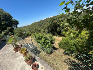 Photo de galerie - Débroussaillage 1500m2