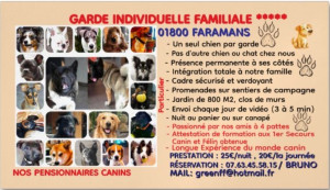 Photo de galerie - Garde chien
