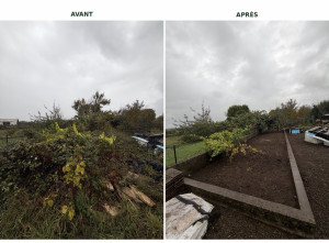 Photo de galerie -  Débroussaillage et remise en état du terrain envahi par les ronces, qui avaient recouvert 4 pieds de vigne, un kiwi, un pêcher et un poirier. Un bon nettoyage pour retrouver un terrain propre et dégagé !