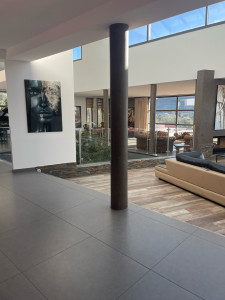 Photo de galerie - Intervention d’entretien complet dans un salon haut de gamme, mettant en avant une prestation soignée et adaptée aux matériaux nobles et aux finitions de luxe.