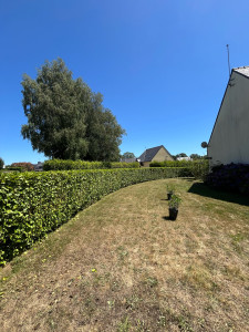 Photo de galerie - Taille de haies 