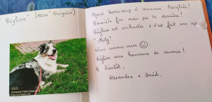 Photo de galerie - Garde chien