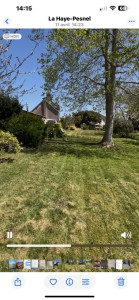 Photo de galerie - Tonte de pelouse 