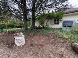 Photo de galerie - Nettoyage branches et bûches 