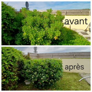 Photo de galerie - Taille