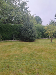 Photo de galerie - Taille de haies et d'arbustes