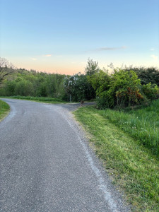Photo de galerie - Tonte de pelouse - Débroussaillage